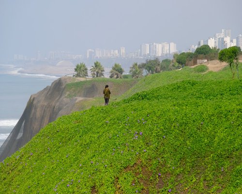 Person enjoying a peaceful morning walk in Miraflores park